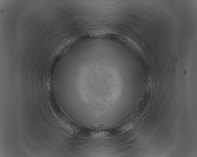 X0000062610452200601111013