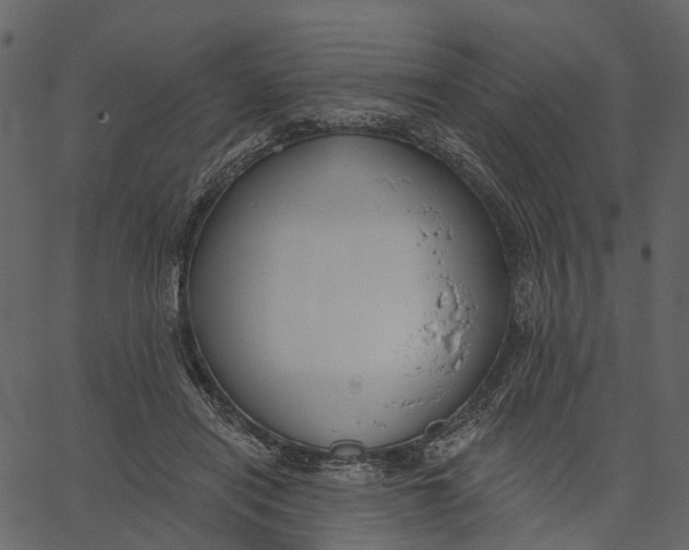 X0000062610454200601111013