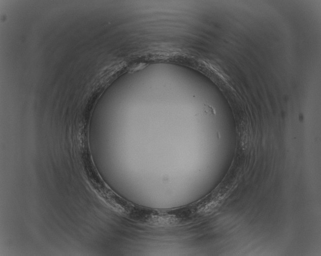 X0000062610455200601111013