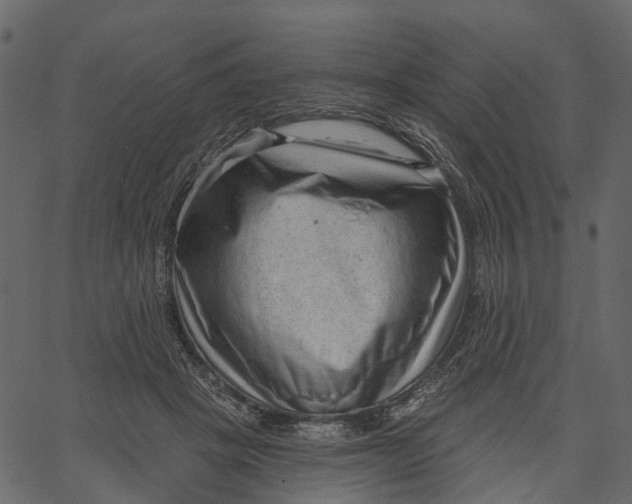 X0000062610457200601111013