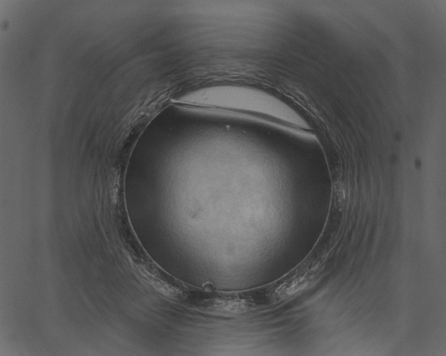 X0000062610458200601111013