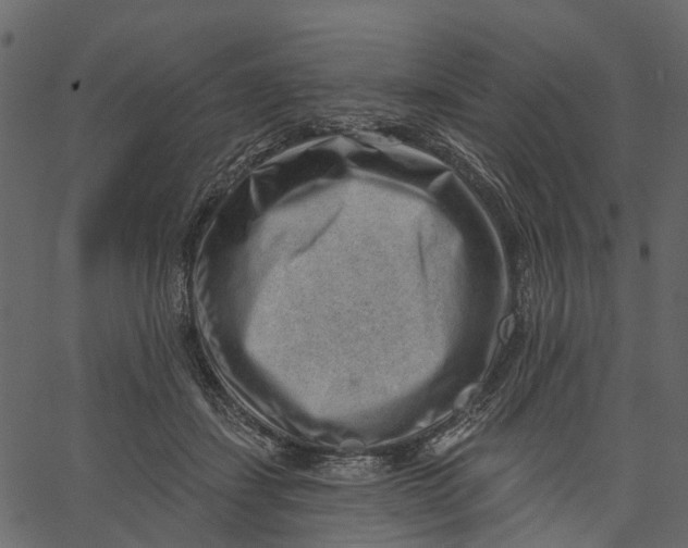 X0000062610459200601111013