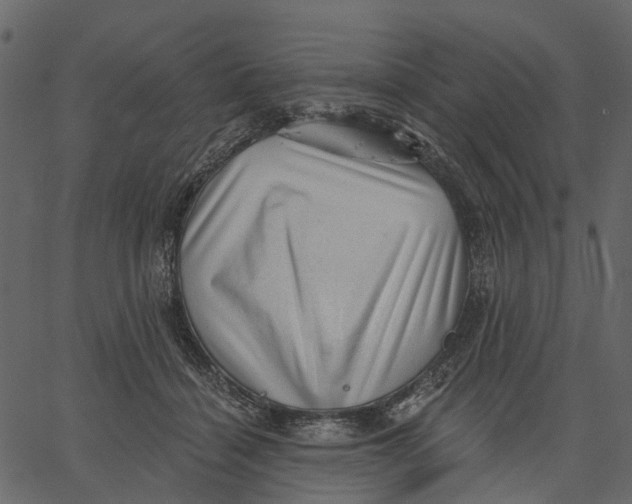 X0000062610460200601111013