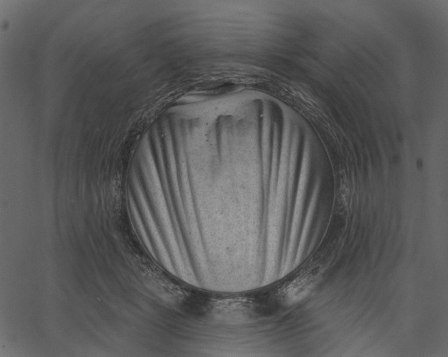 X0000062610461200601111013