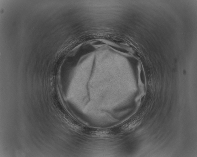 X0000062610462200601111013