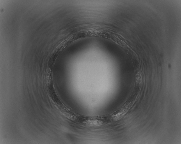 X0000062610464200601111013