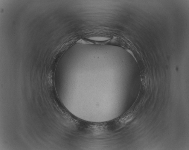 X0000062610466200601111013