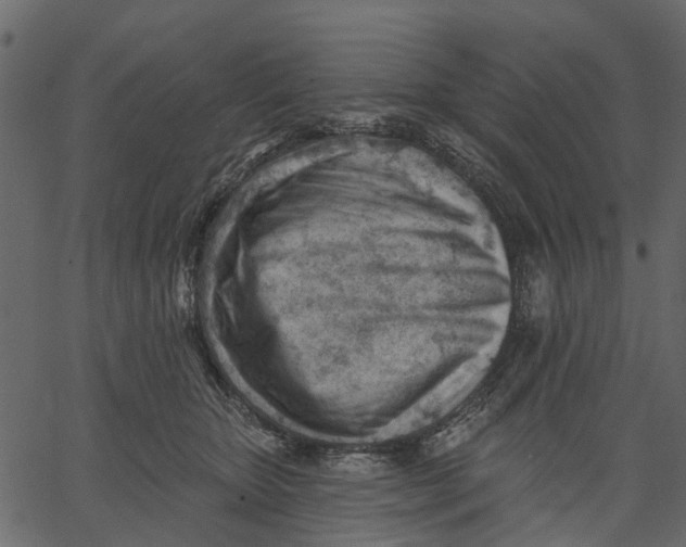 X0000062610467200601111013