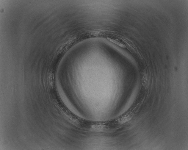 X0000062610470200601111013