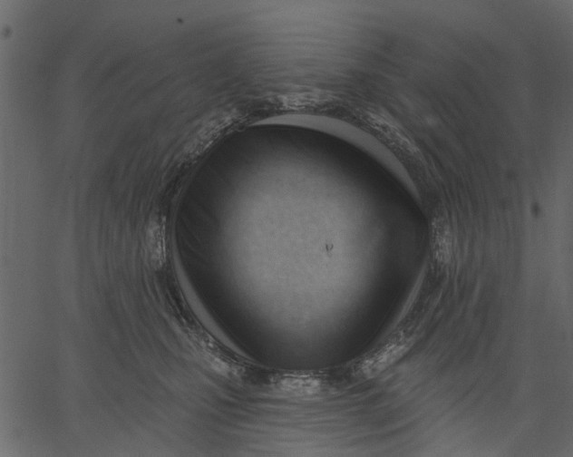 X0000062610471200601111013