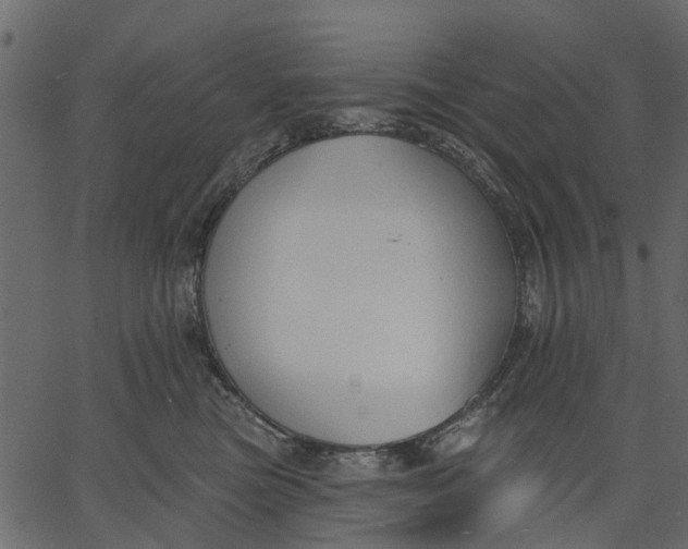 X0000062610473200601111013