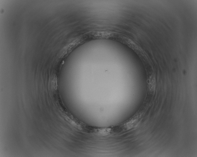 X0000062610474200601111013