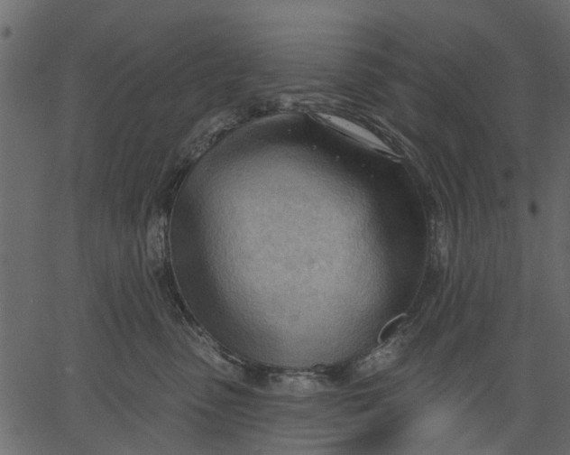 X0000062610475200601111013