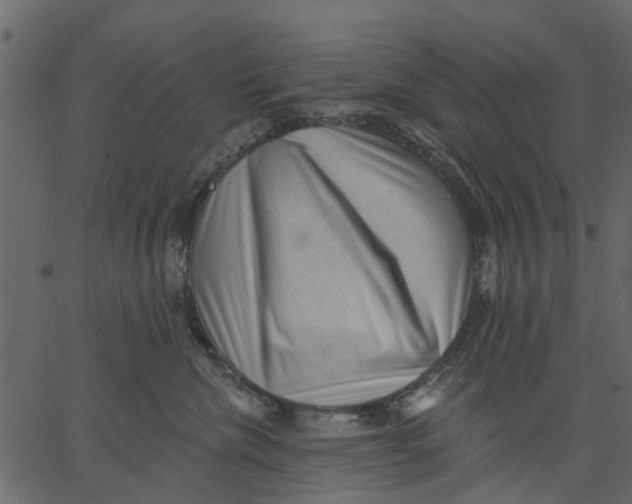 X0000062610476200601111013