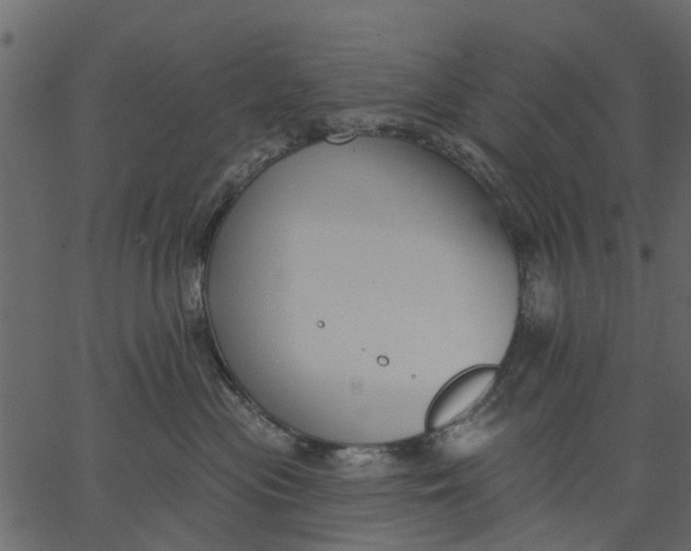 X0000062610477200601111013