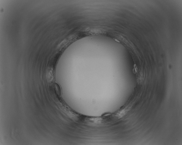 X0000062610478200601111013