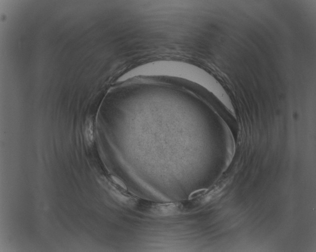 X0000062610479200601111013