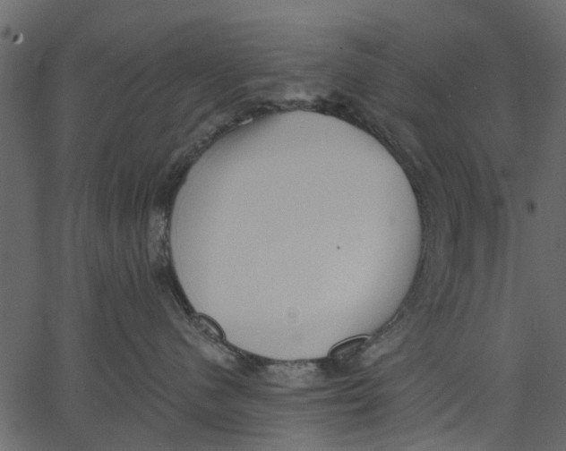 X0000062610480200601111013