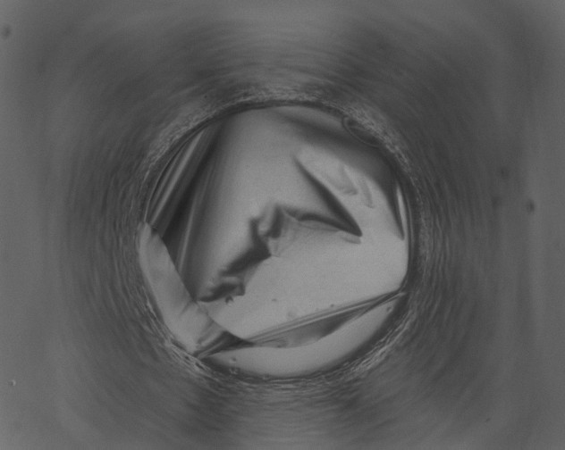 X0000062610481200601111012