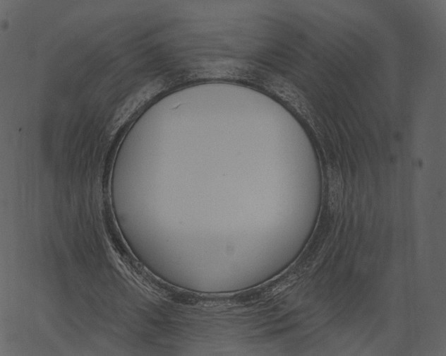 X0000062610482200601111012