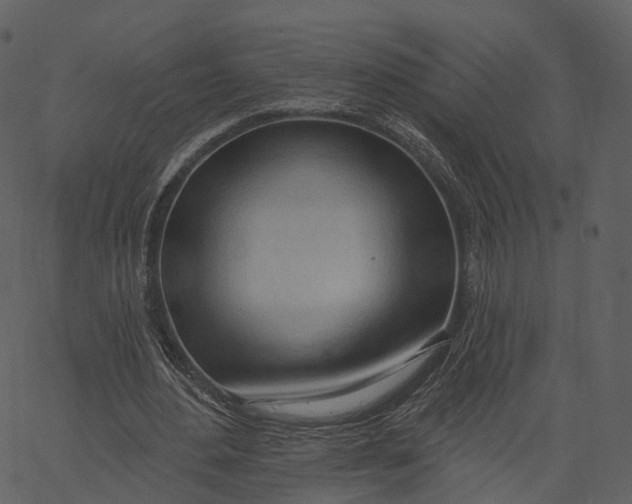 X0000062610484200601111012