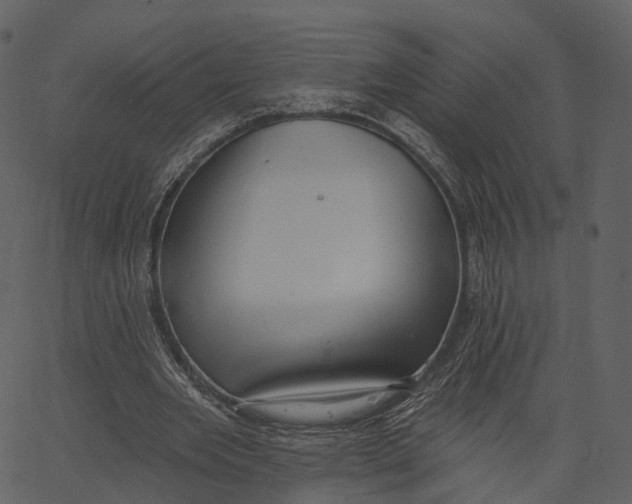 X0000062610485200601111012