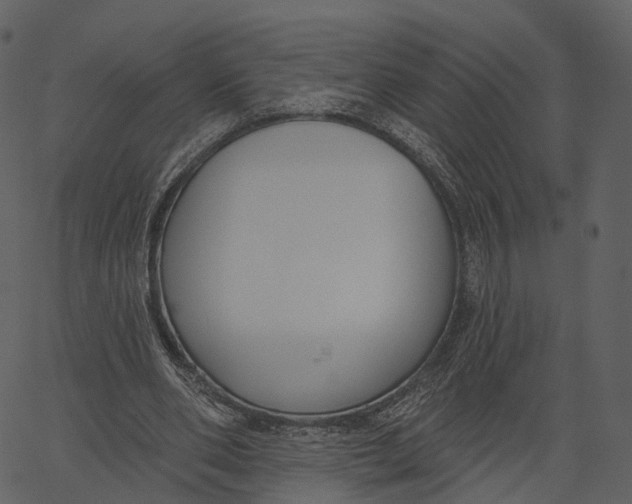 X0000062610486200601111012