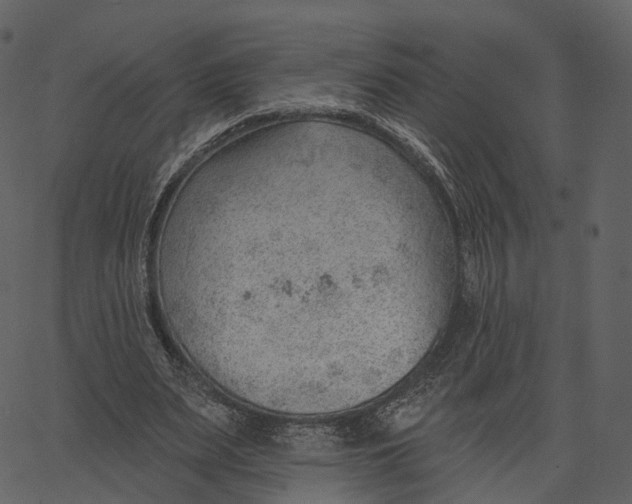 X0000062610487200601111012