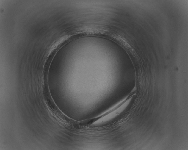 X0000062610488200601111012