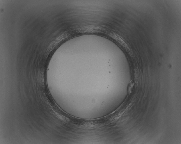 X0000062610489200601111012