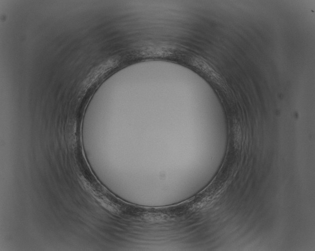 X0000062610490200601111012