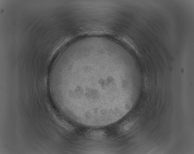 X0000062610491200601111012