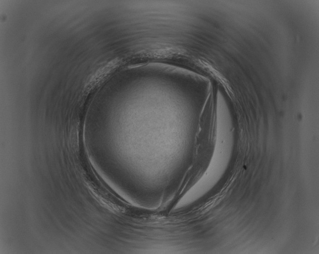 X0000062610493200601111012