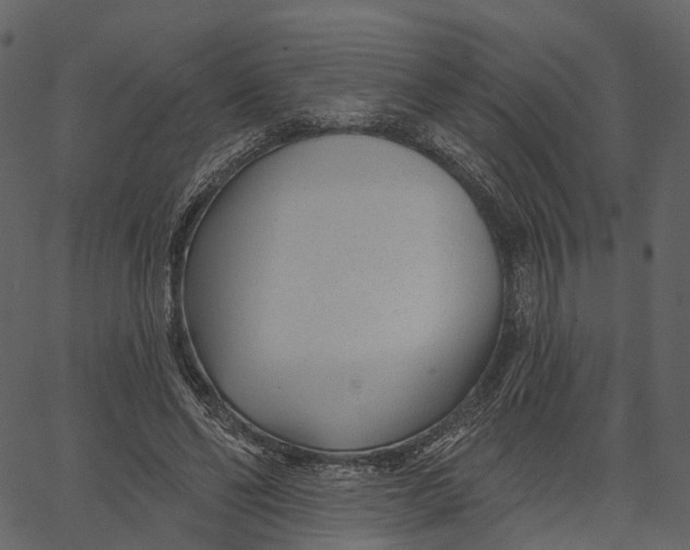 X0000062610494200601111012