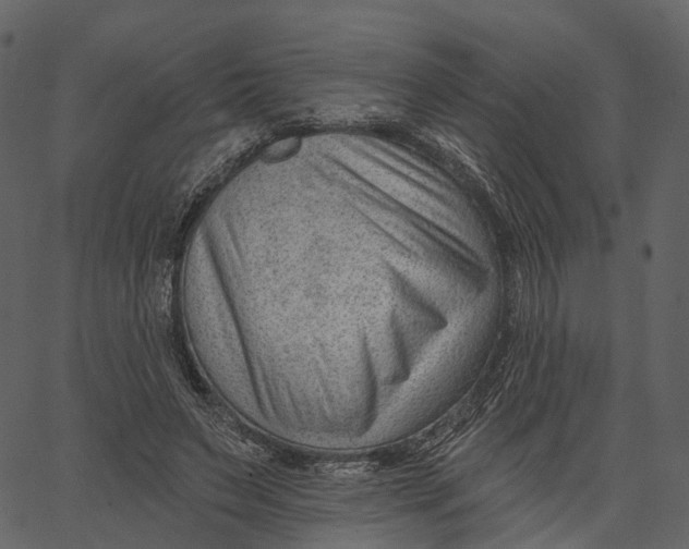 X0000062610495200601111012