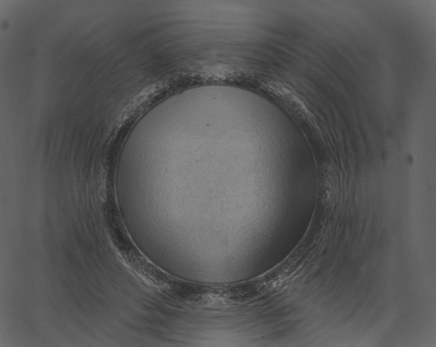 X0000062610496200601111012