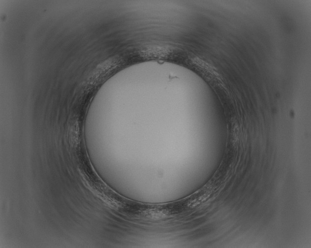 X0000062610498200601111012