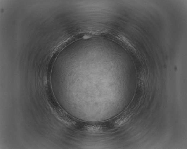 X0000062610500200601111012