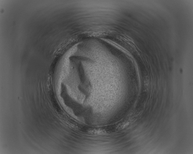 X0000062610503200601111012