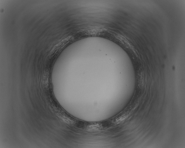 X0000062610505200601111012