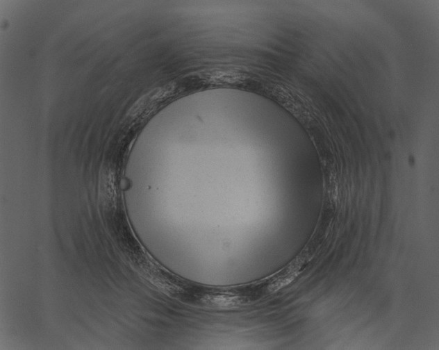 X0000062610506200601111012