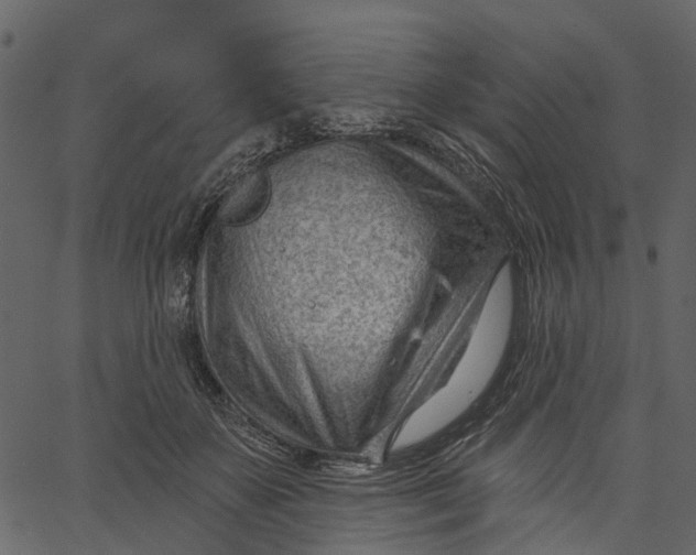 X0000062610507200601111012