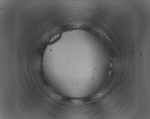 X0000062610509200601111012