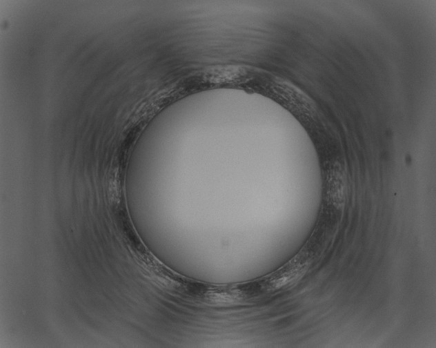 X0000062610510200601111012