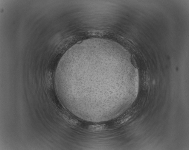 X0000062610511200601111012