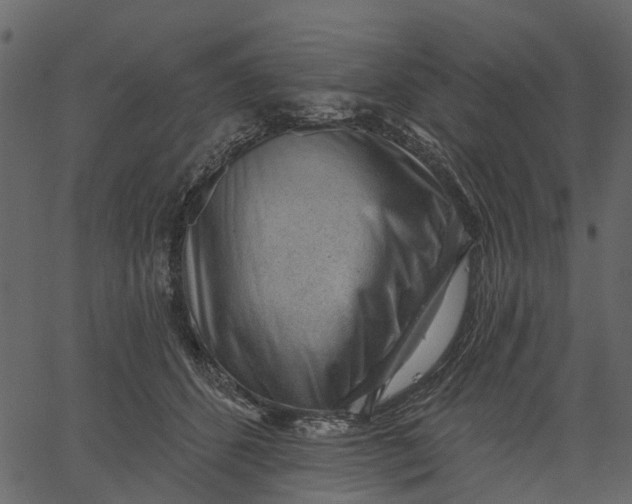 X0000062610512200601111012