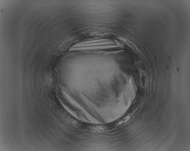 X0000062610513200601111012