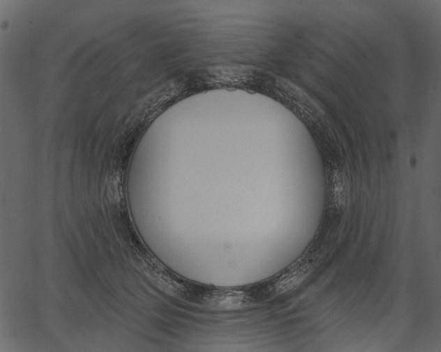 X0000062610514200601111012