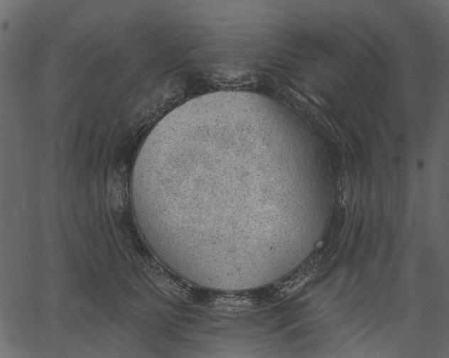 X0000062610515200601111012