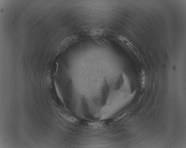 X0000062610516200601111012